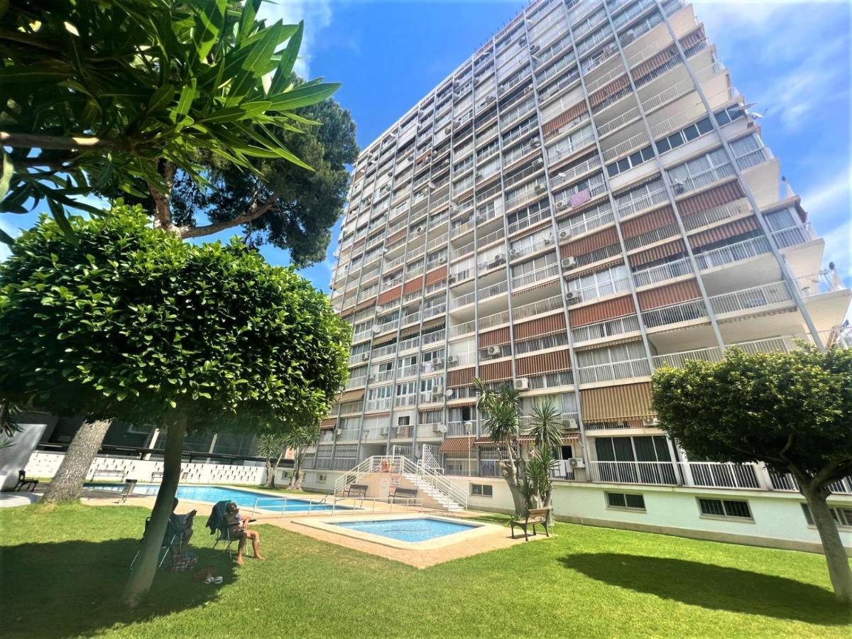 Albatros - 14º Daire Benidorm Dış mekan fotoğraf